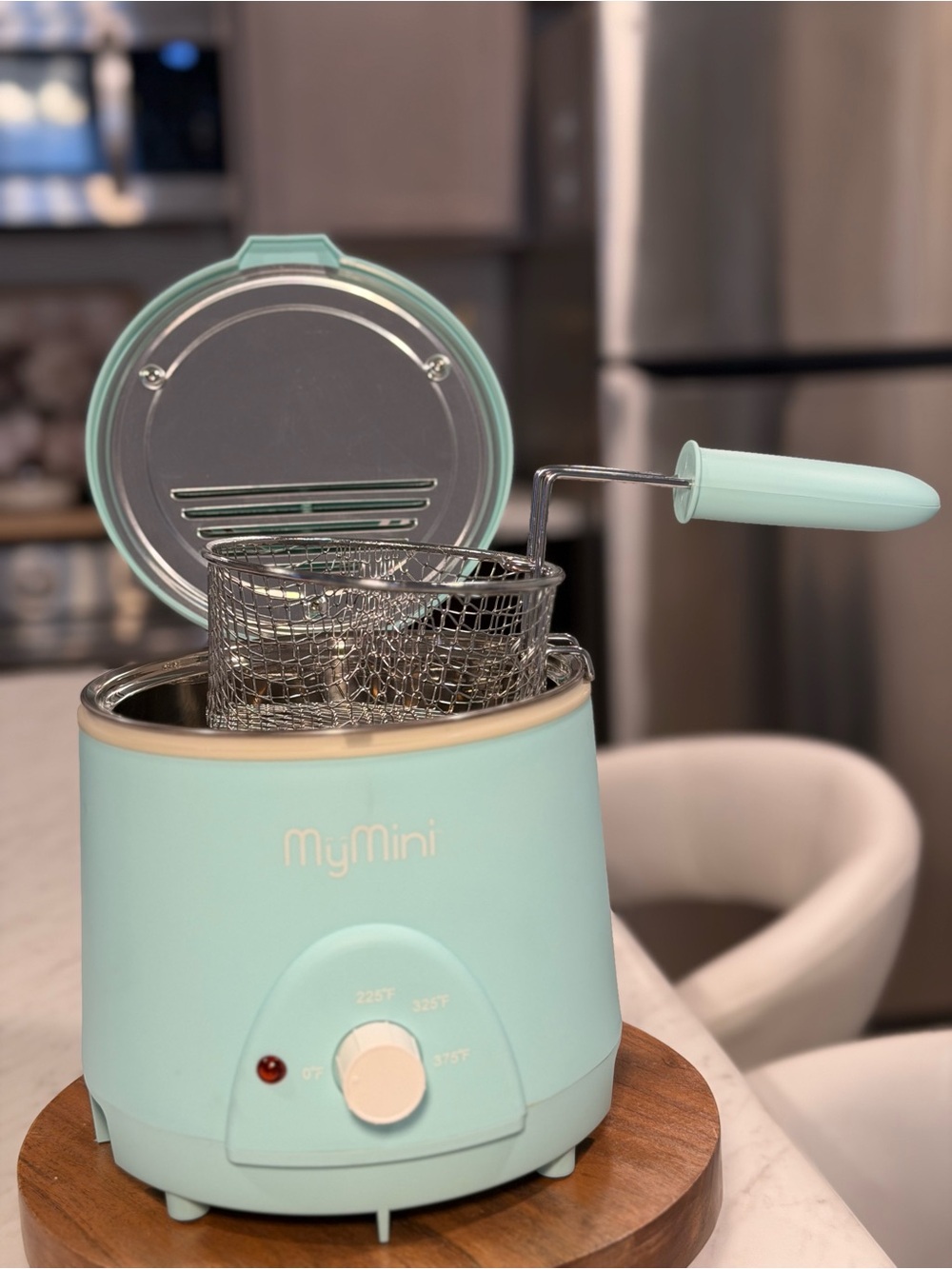 MyMini Mini Deep Fryer in Mint